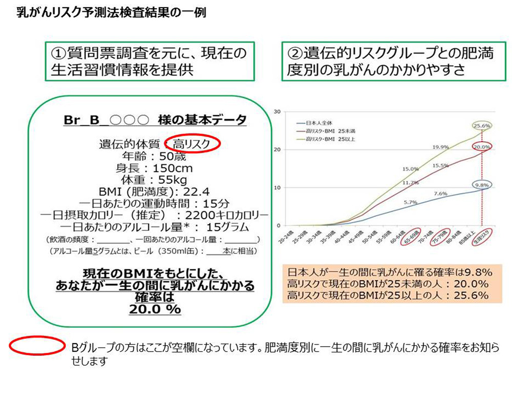 乳がんリスク予測法検査結果の一例