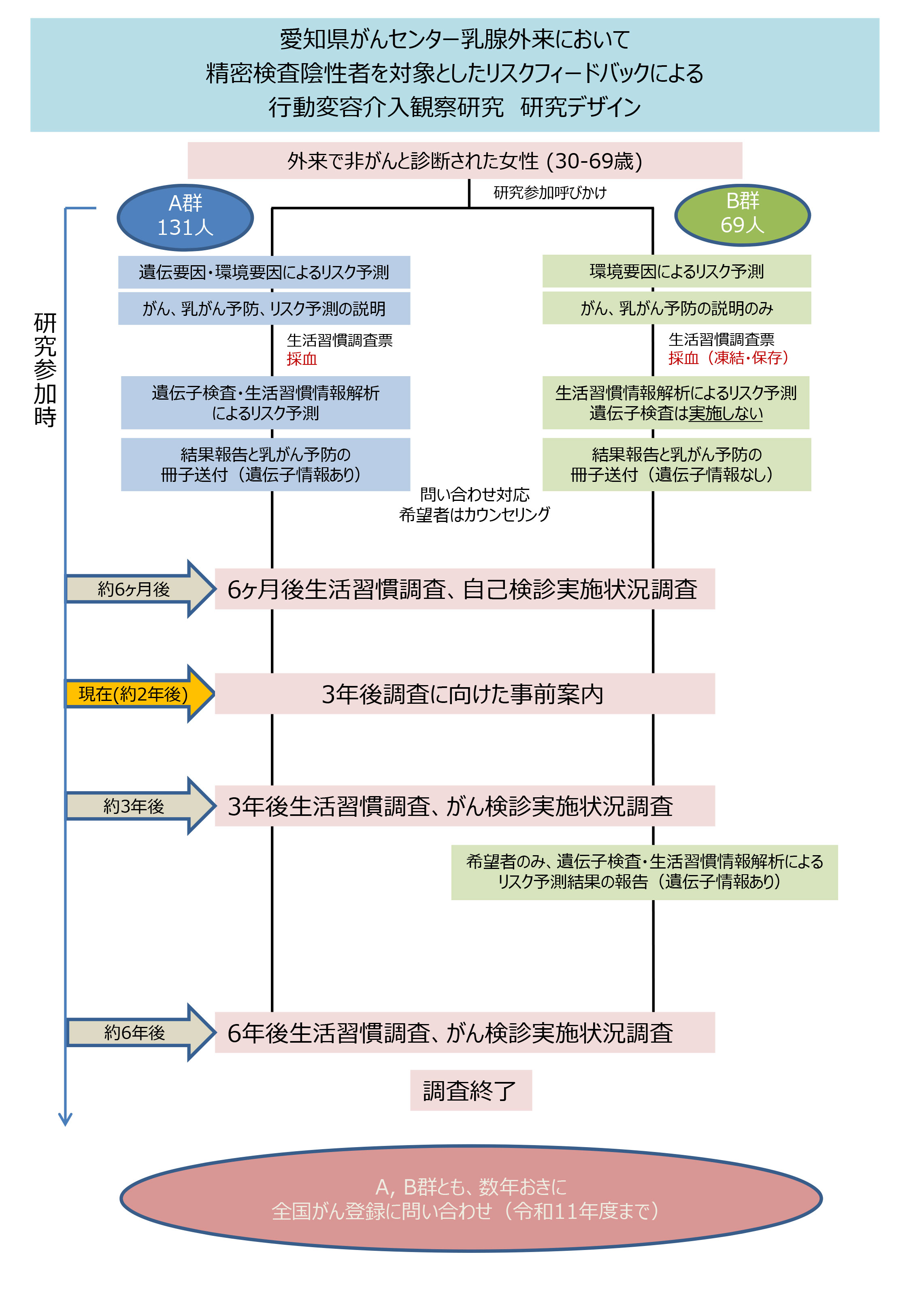 乳がん予防介入研究の試験の進め方について